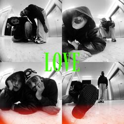 Cover of LOVE