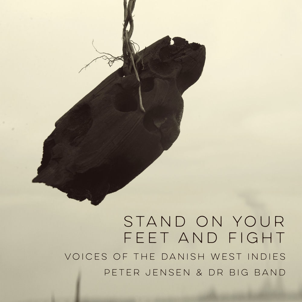 Pochette Stand on Your Feet and Fight