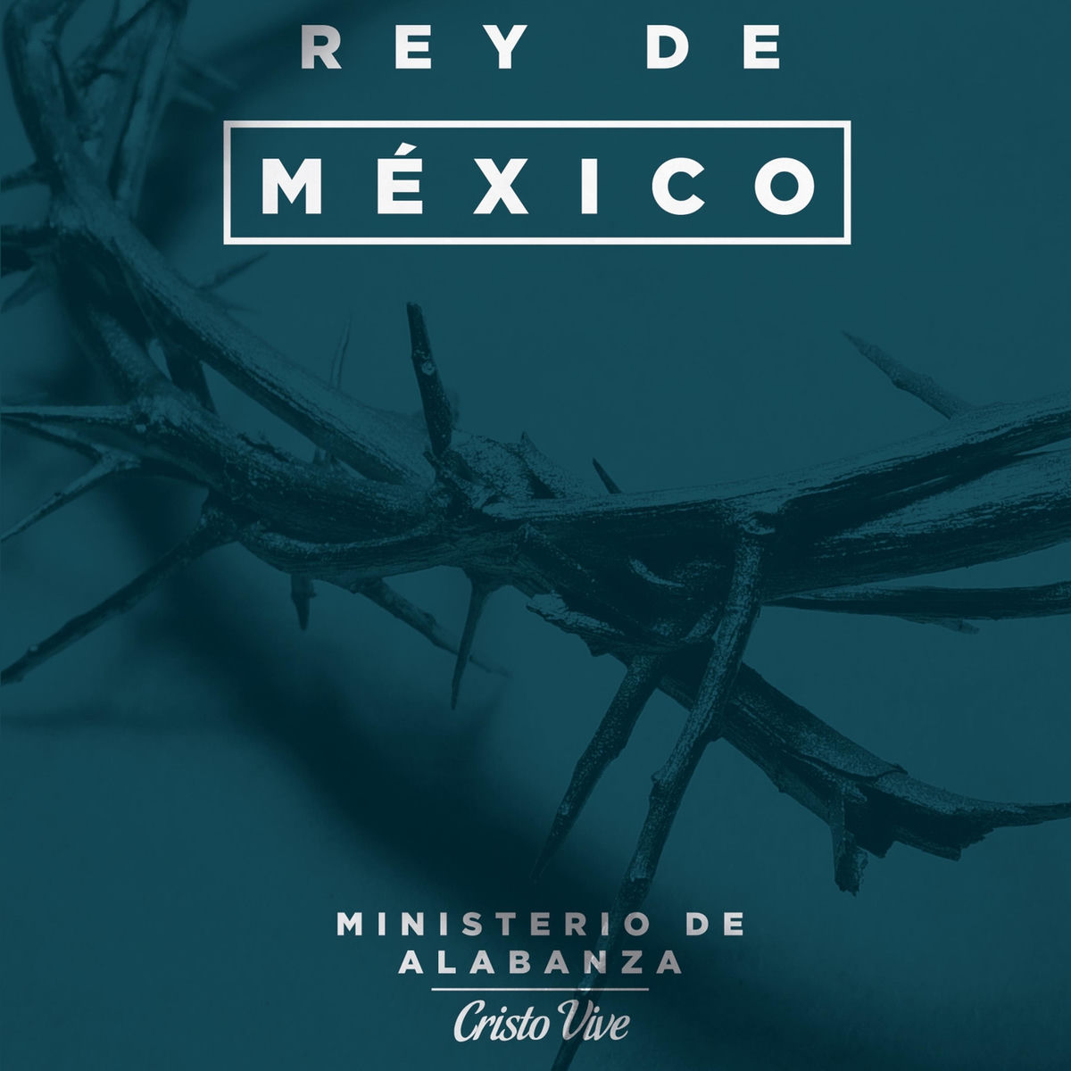 Album cover of Rey de Amor