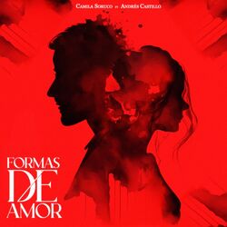 Cover of Formas de Amor