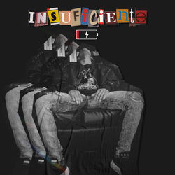 Cover of Insuficiente by undefined