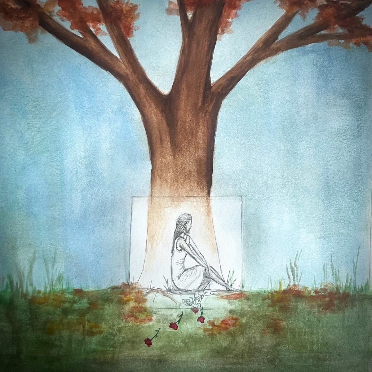 Album cover of Captured