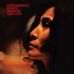 Cover of Approximately Infinite Universe