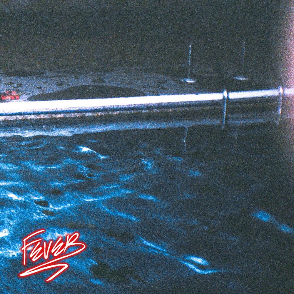 Picture of Fever