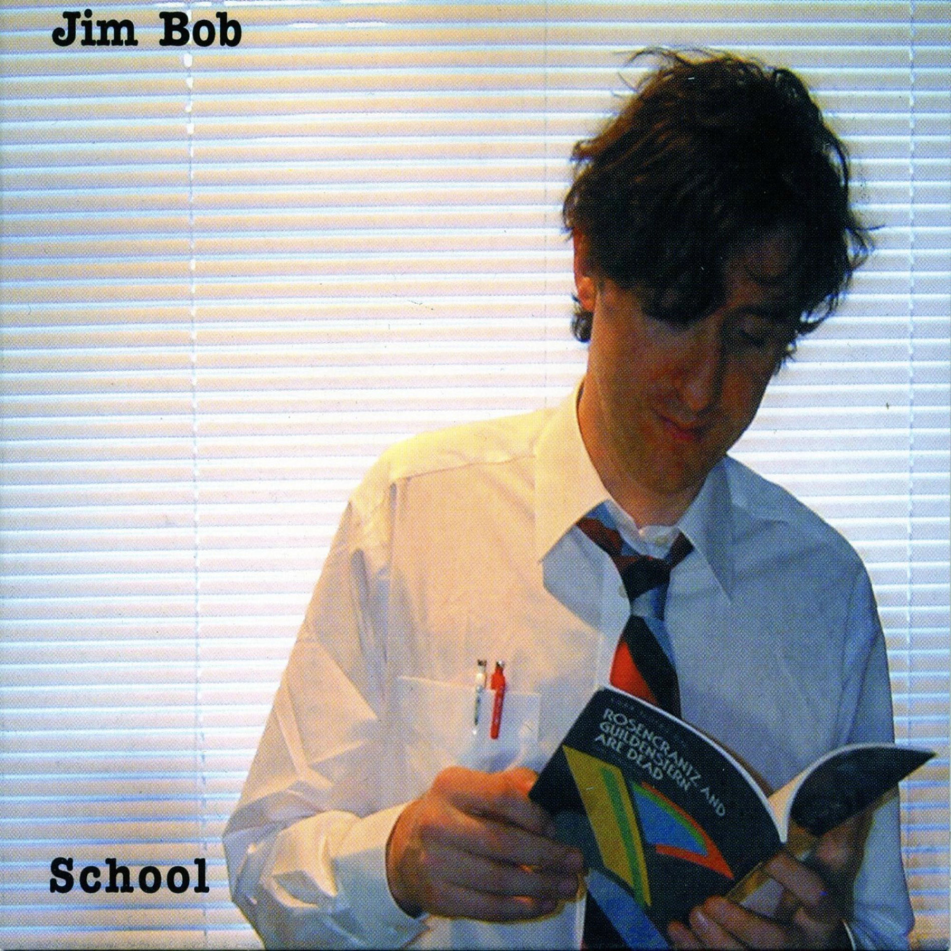 Album cover of School