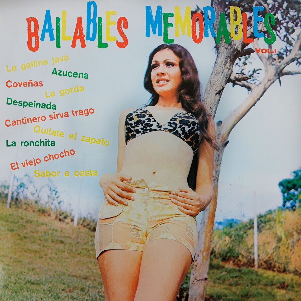 Album cover of Bailables Memorables, Vol. 1
