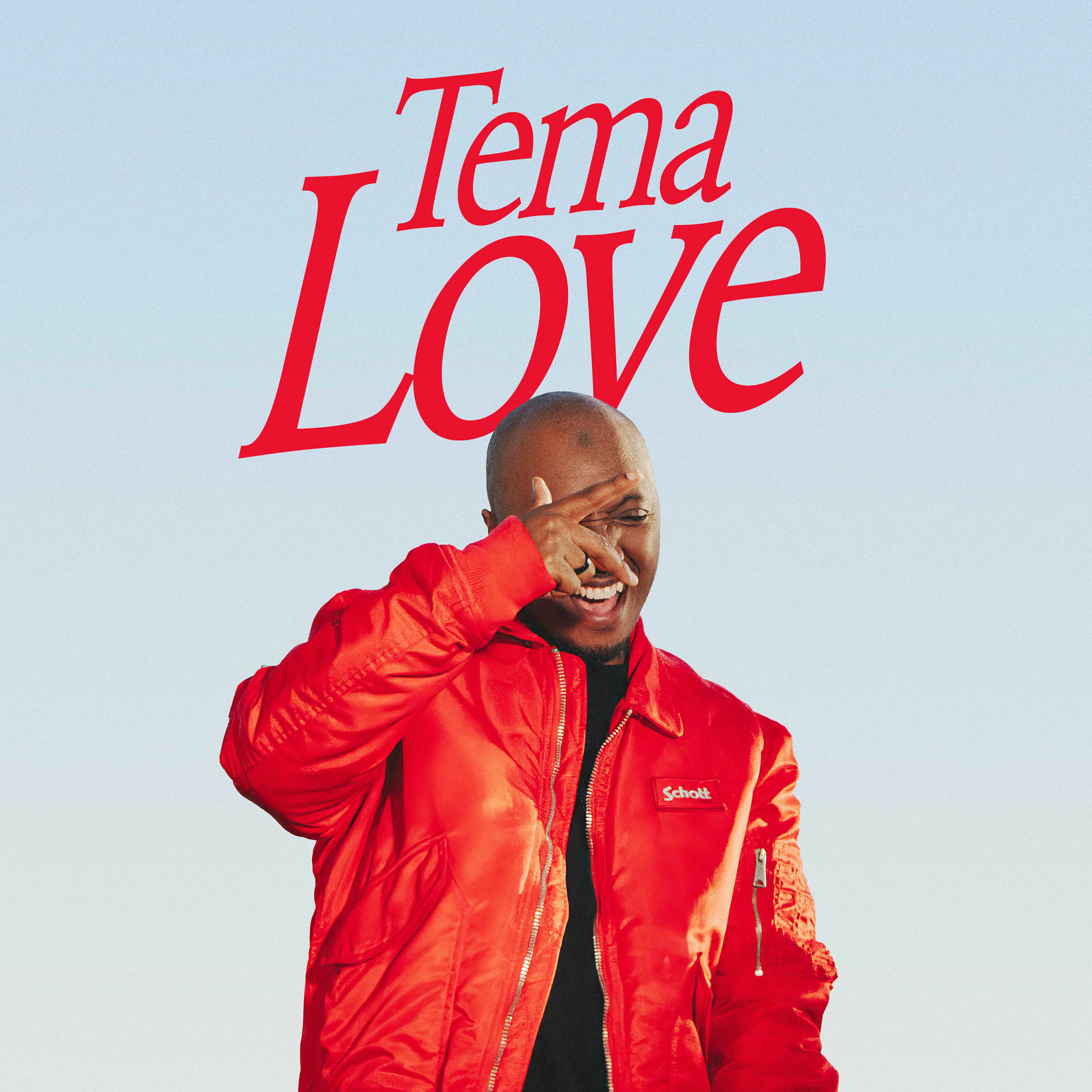 Album cover of Tema Love