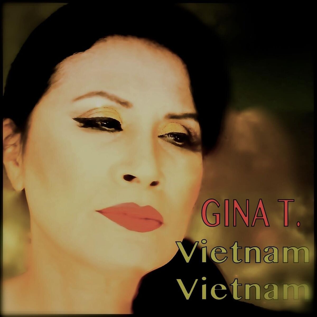 Album cover of VIETNAM VIETNAM