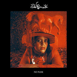 Cover of No Pude