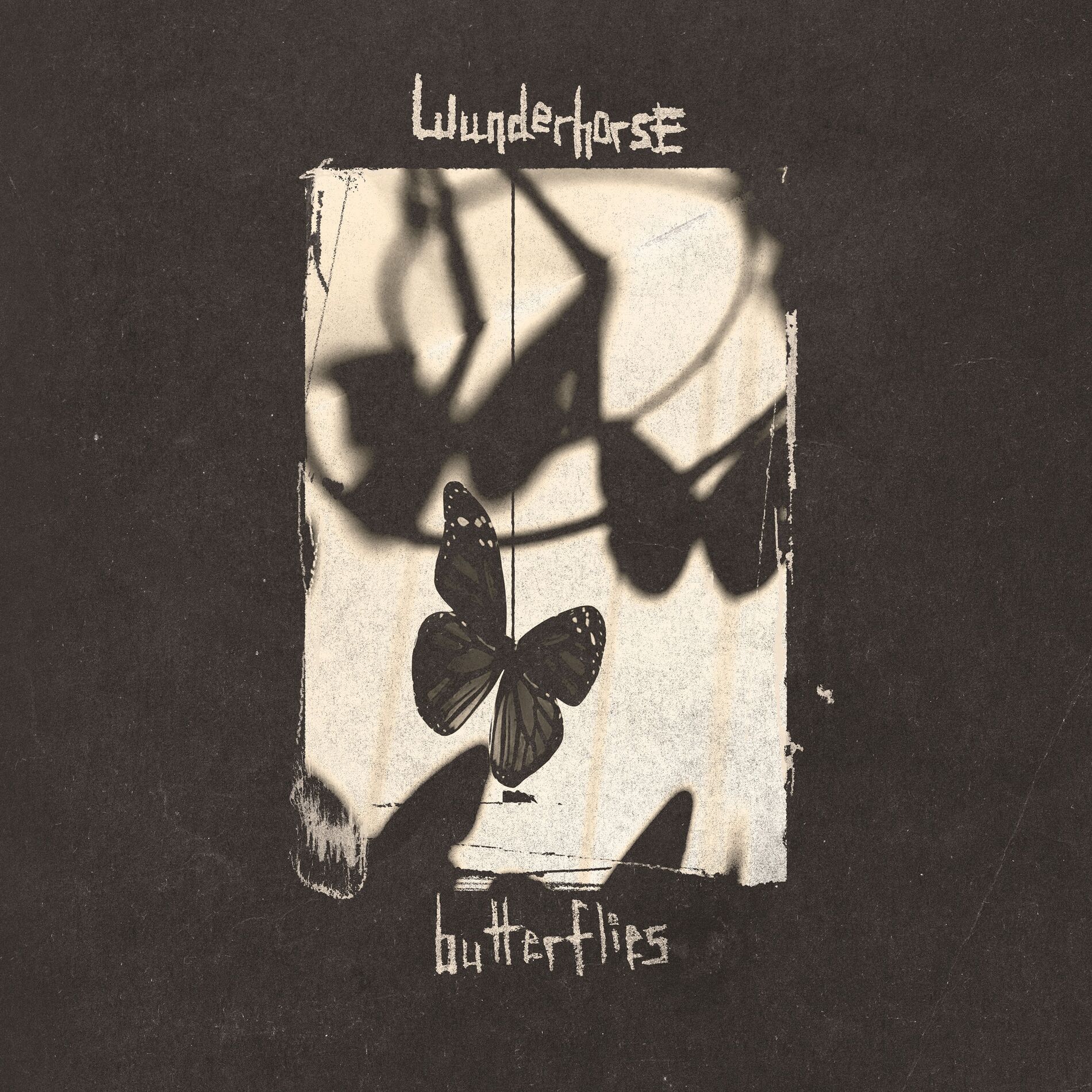 Album cover of Butterflies