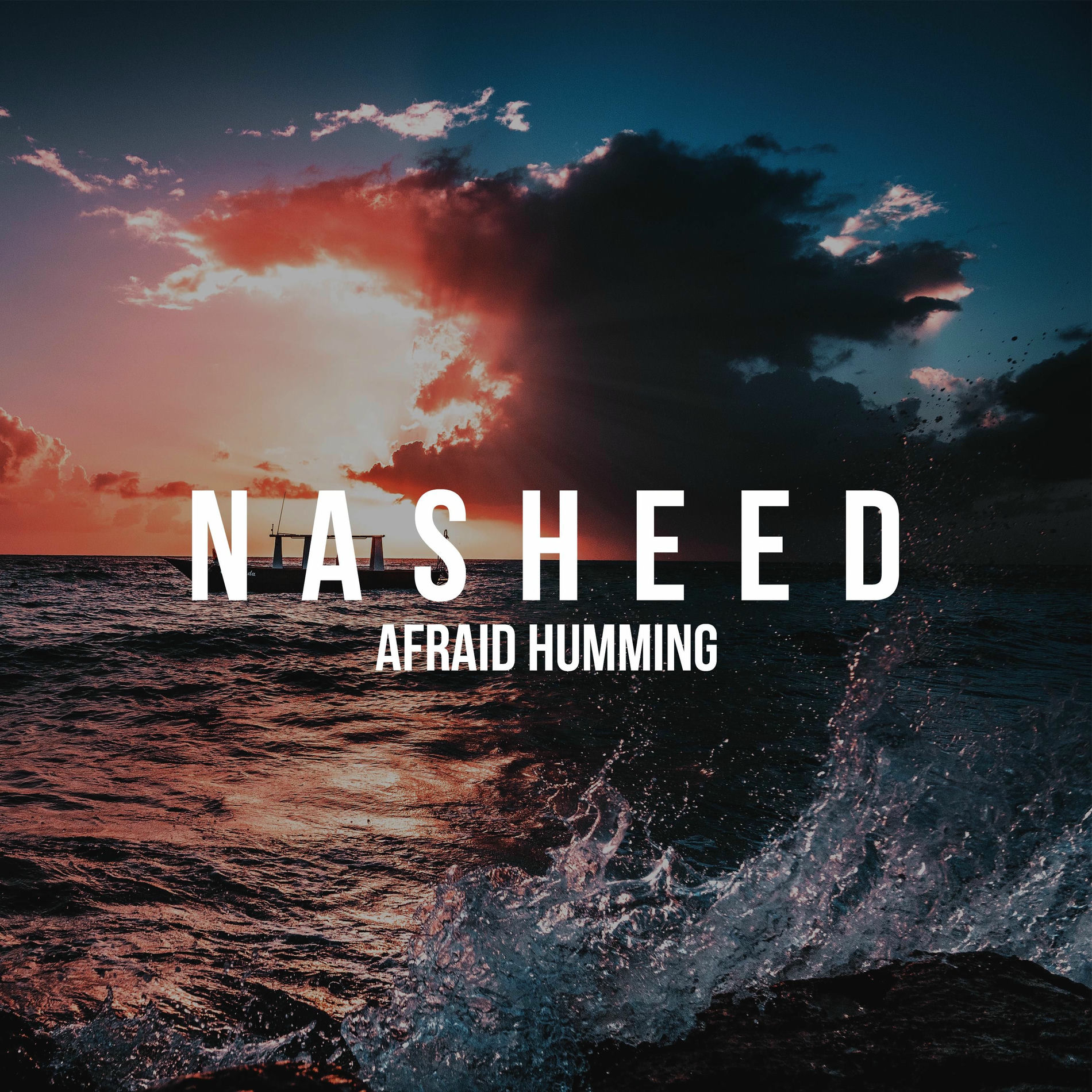 Album cover of Afraid Humming