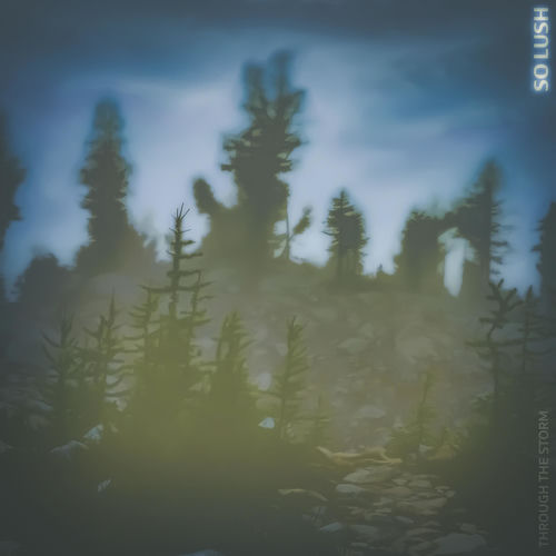 Through the Storm