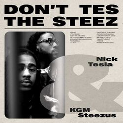 Cover of Don't Tes the Steez