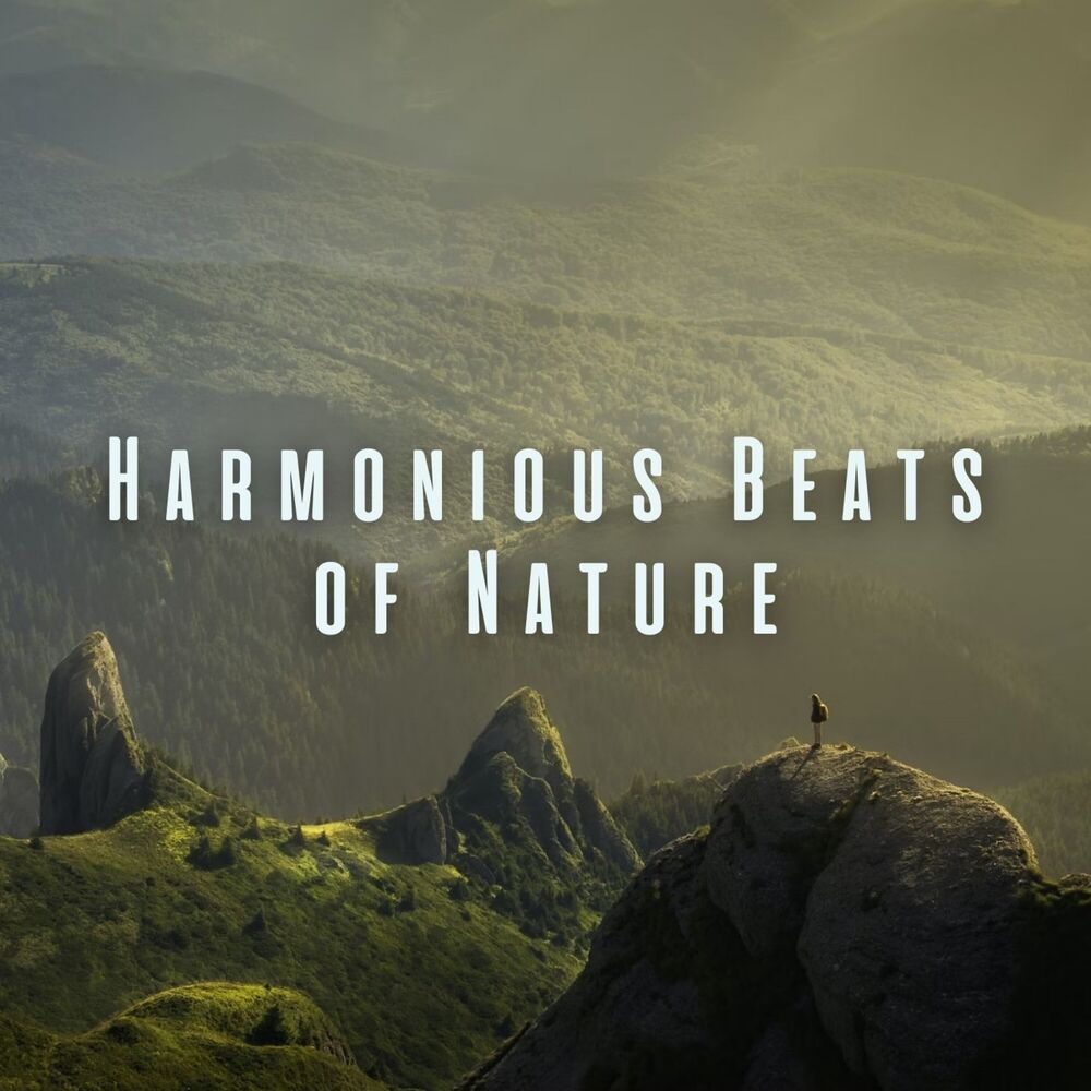 Picture of Harmonious Beats of Nature