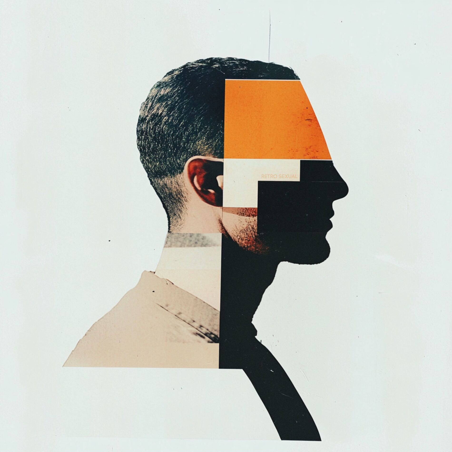 Album cover of Retrosexual