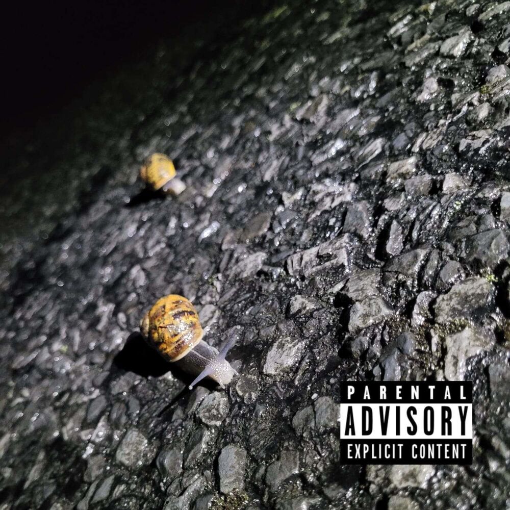 Picture of snail trip