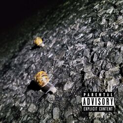 Cover of snail trip