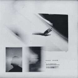 Cover of Shy Dancer