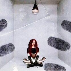 Cover of Crazy Woman