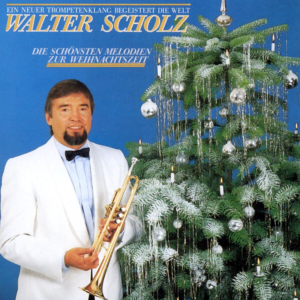 Album cover of Die Schönsten Melodien Zur Weihnachtszeit