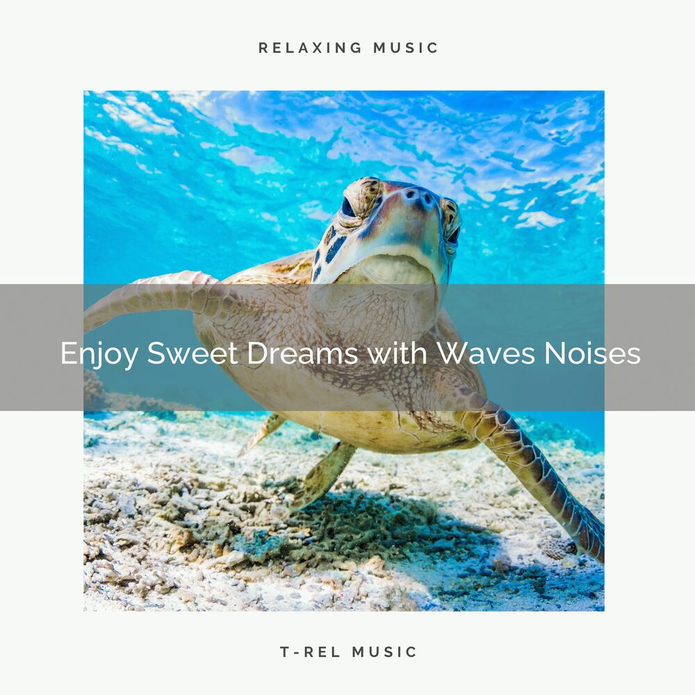 Picture of 2021: Enjoy Sweet Dreams with Waves Noises