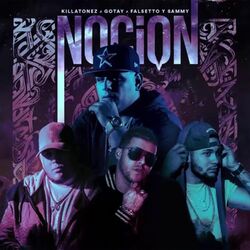 Cover of Noción
