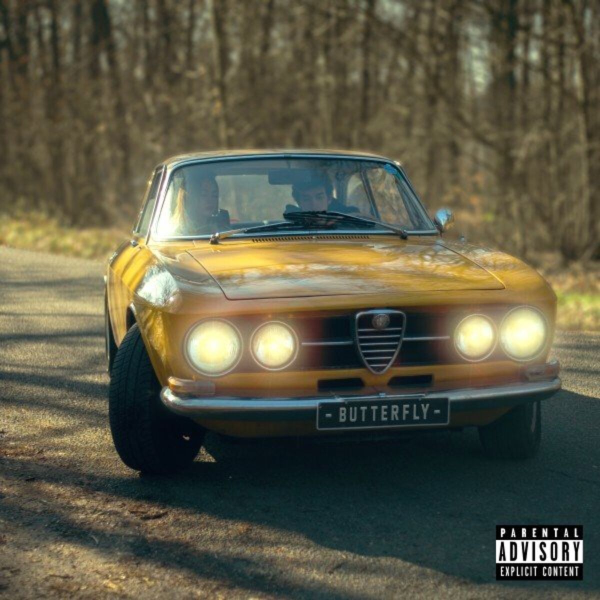 Album cover of Butterfly