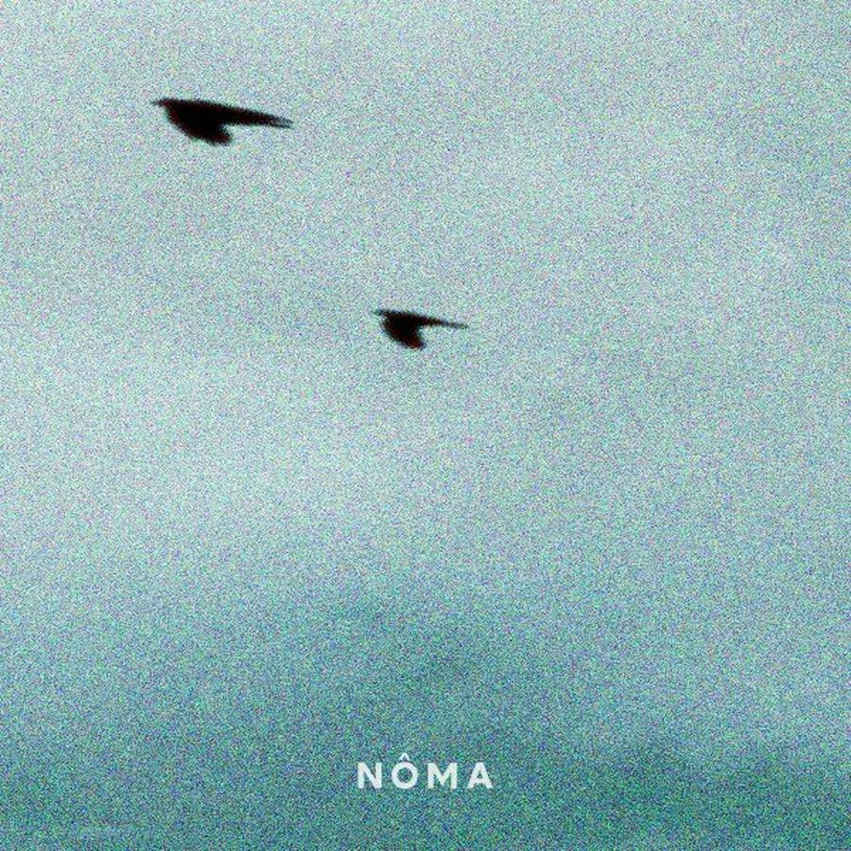 Album cover of Nôma