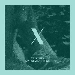 Cover of Rubix