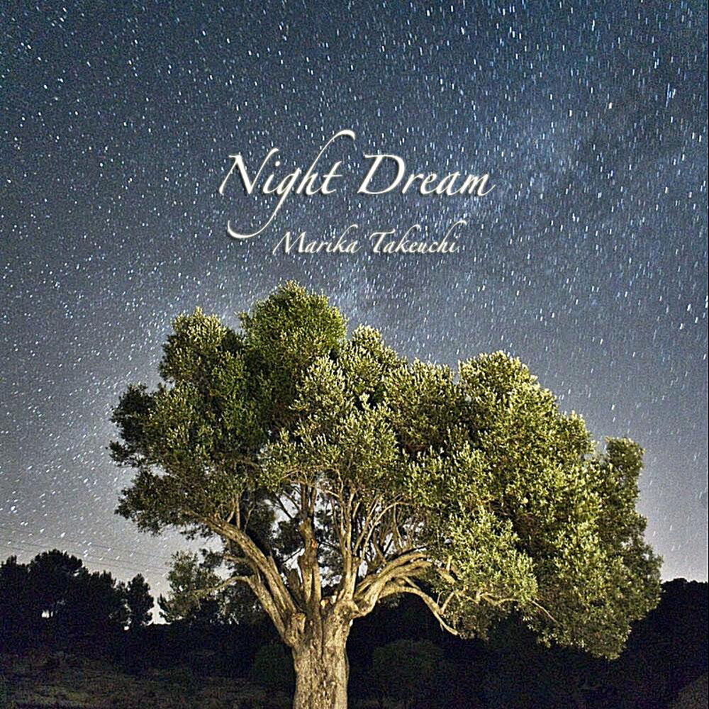 Picture of Night Dream