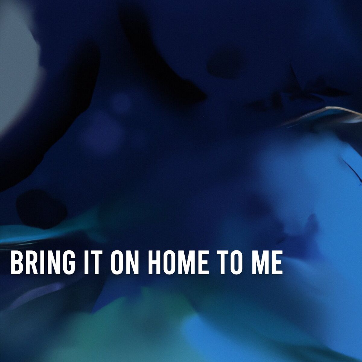 Album cover of Bring It On Home To Me