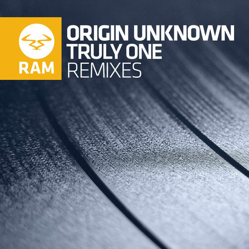 Truly One (Remixes) artwork