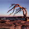 Carmina Burana : Veris leta facies by Ross Pople album cover