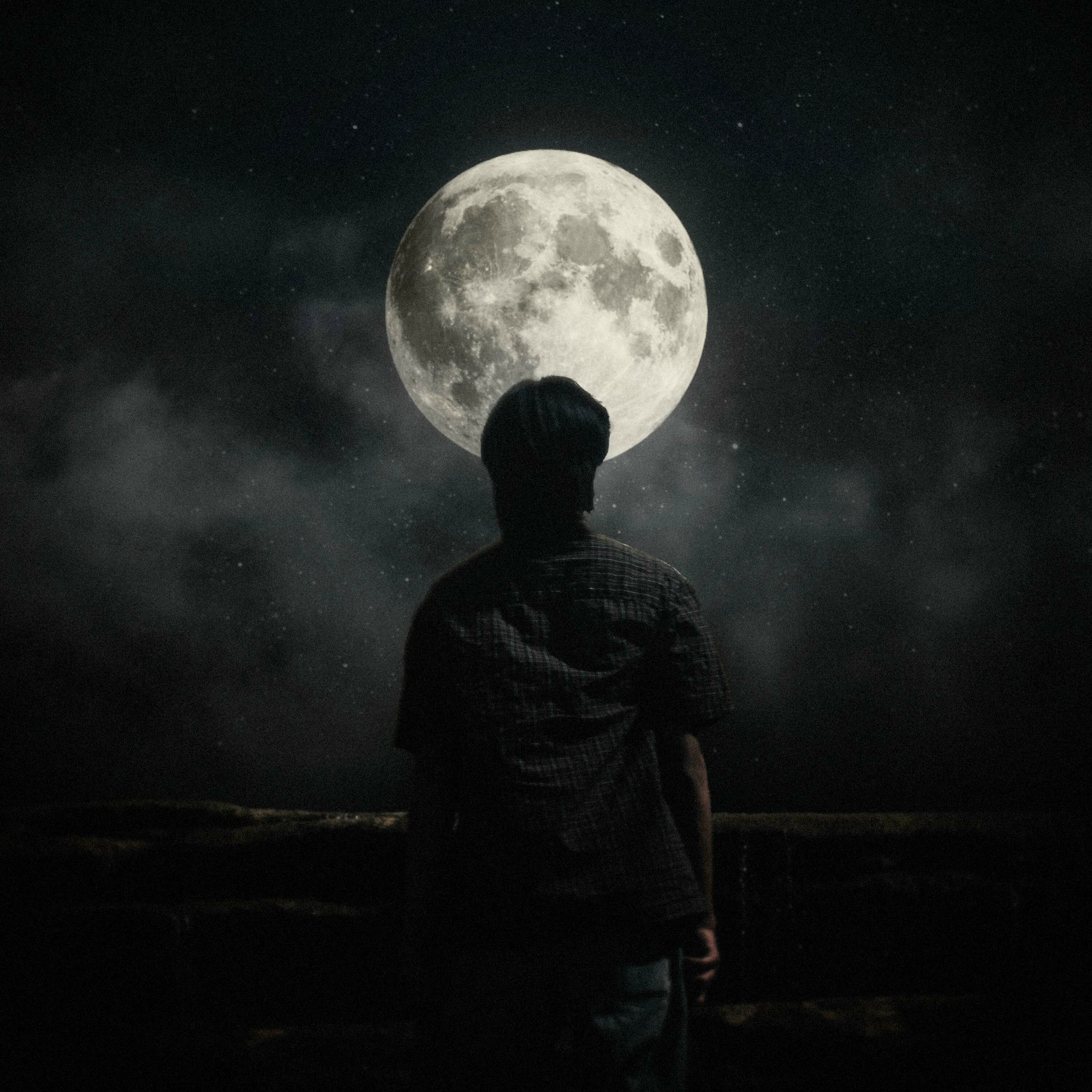 Album cover of To the moon and back