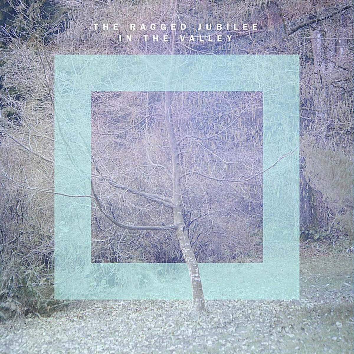 Album cover of In the Valley