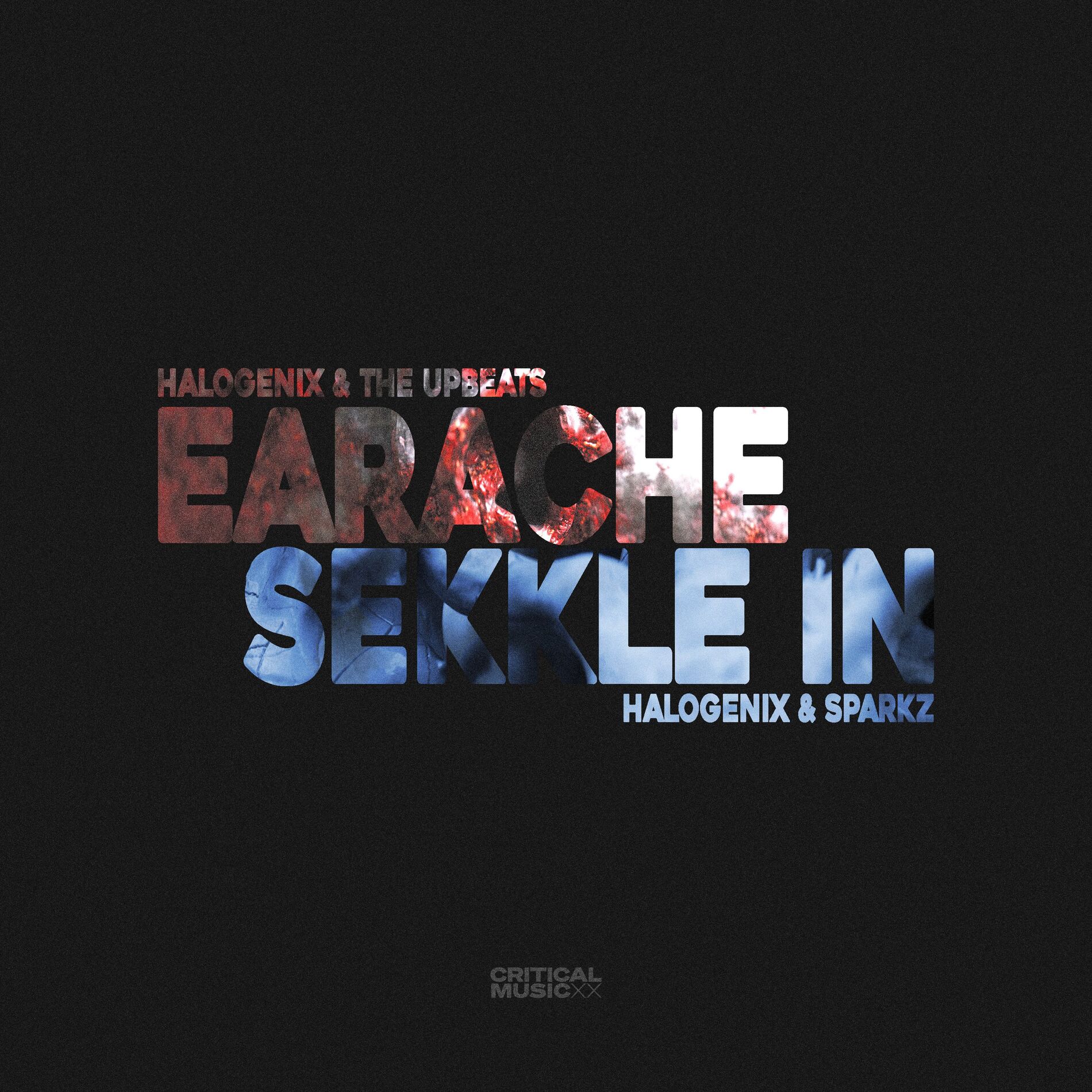 Album cover of Sekkle In