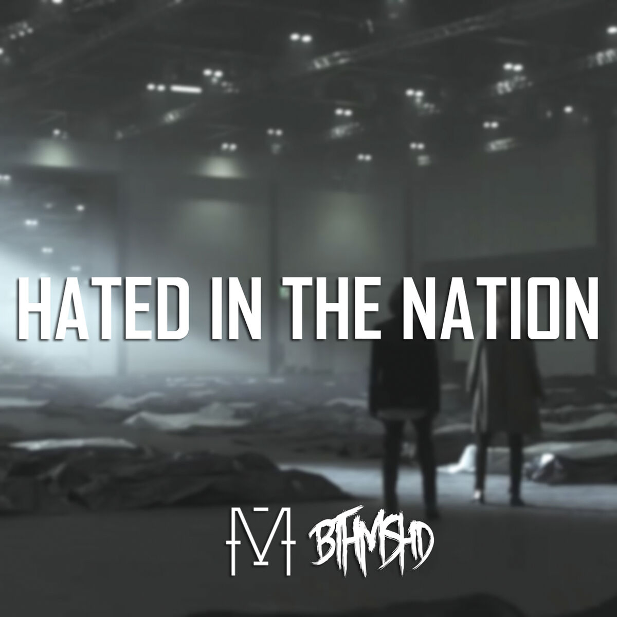 Album cover of Hated in the Nation