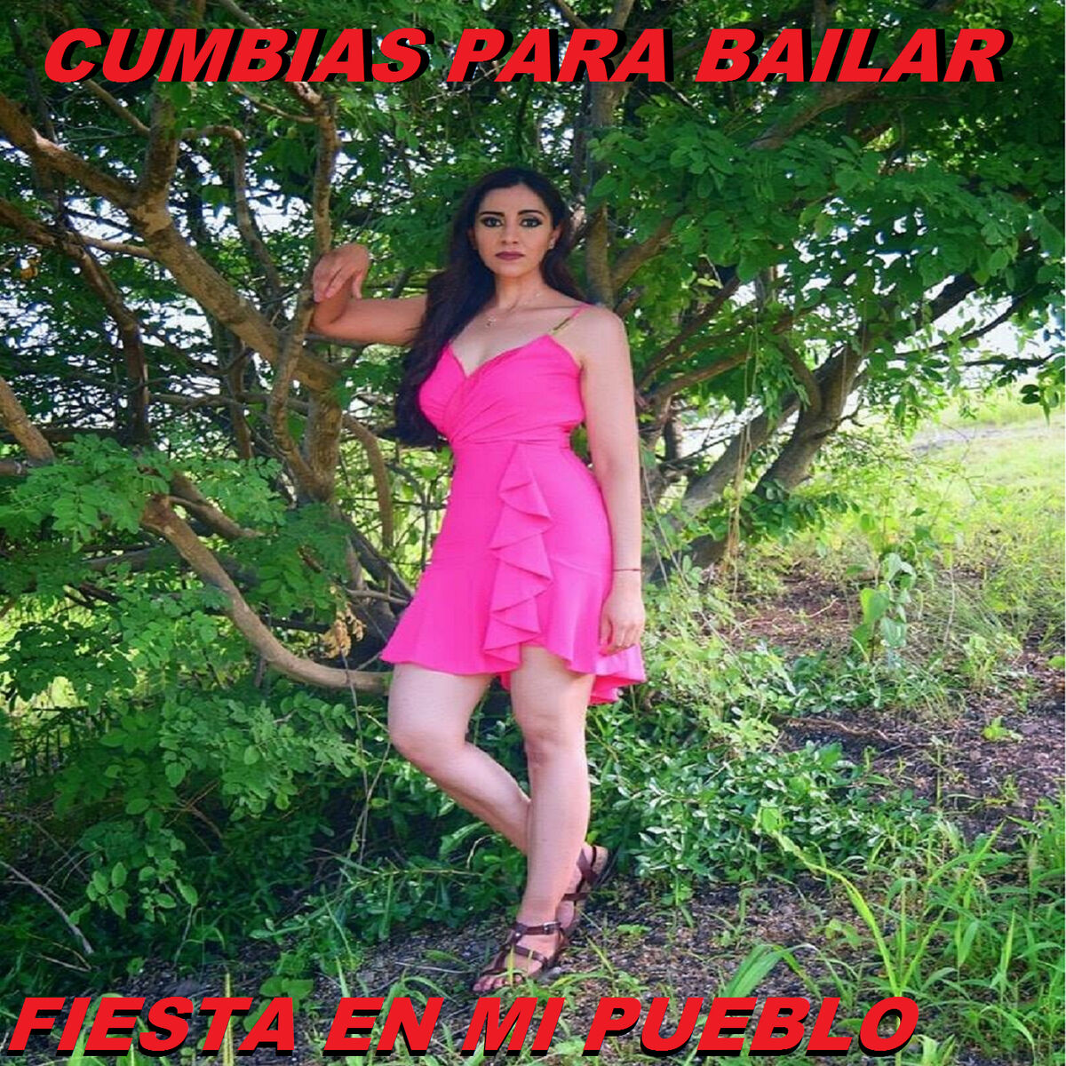 Album cover of Fiesta En Mi Pueblo