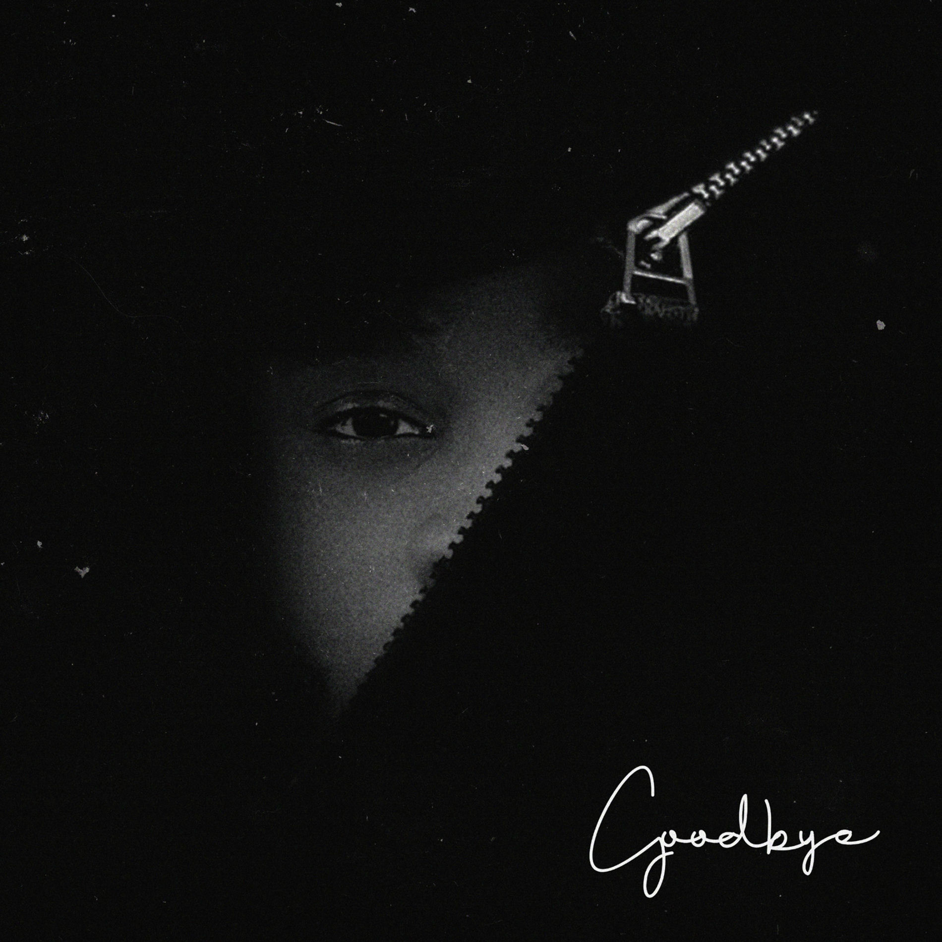 Album cover of Goodbye