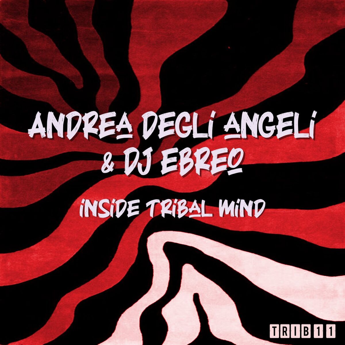 Album cover of Inside Tribal Mind