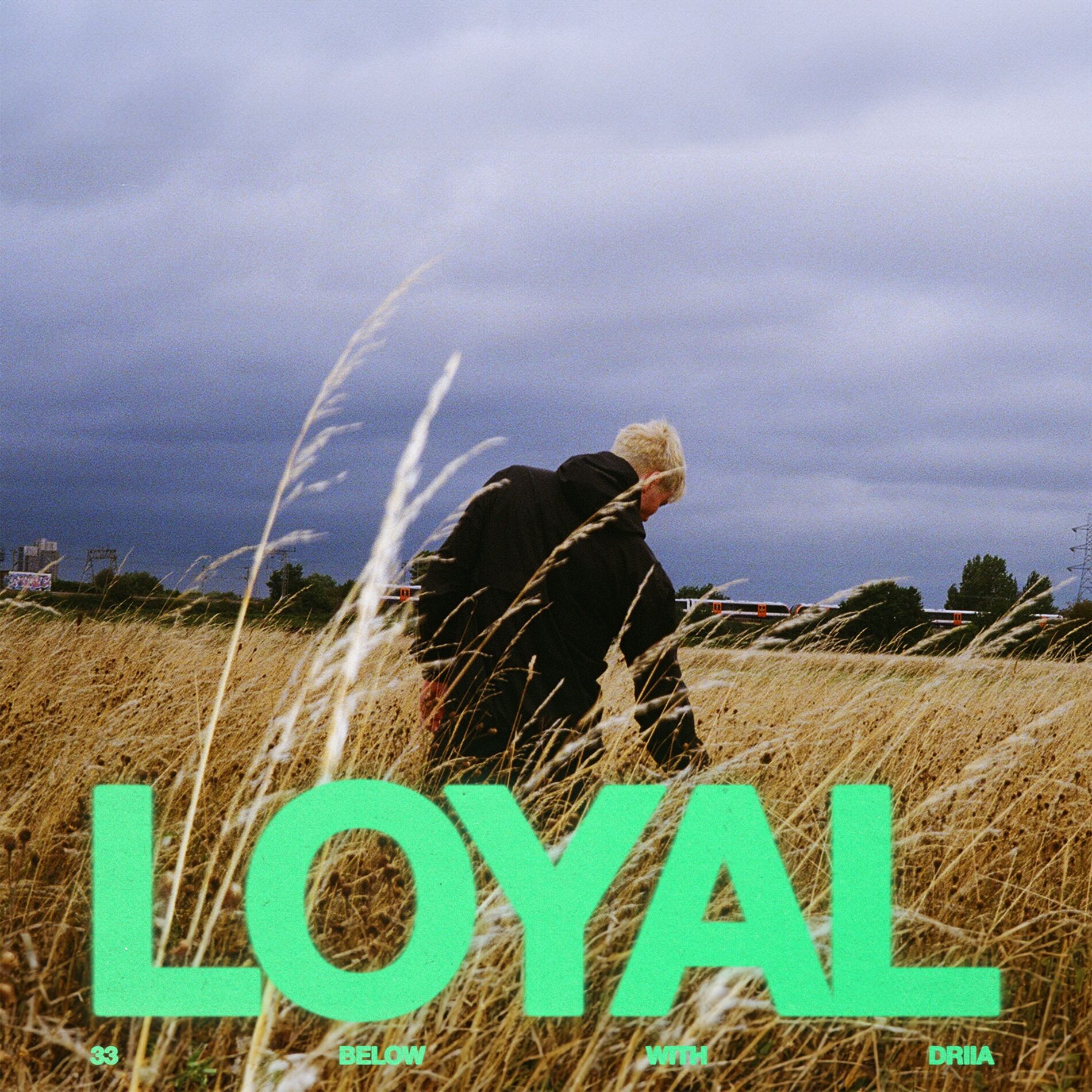 Album cover of LOYAL
