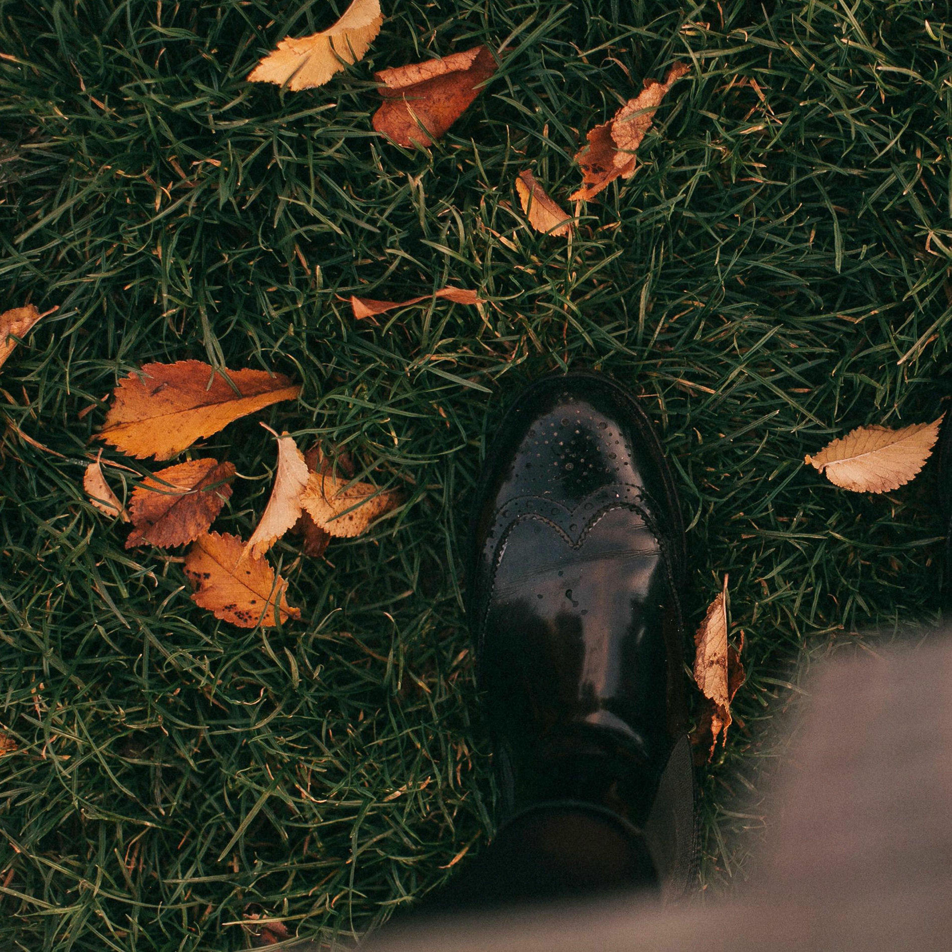 Album cover of The Other Day