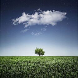 Cover of Relaxation Music for the Mind, Body, Spirit