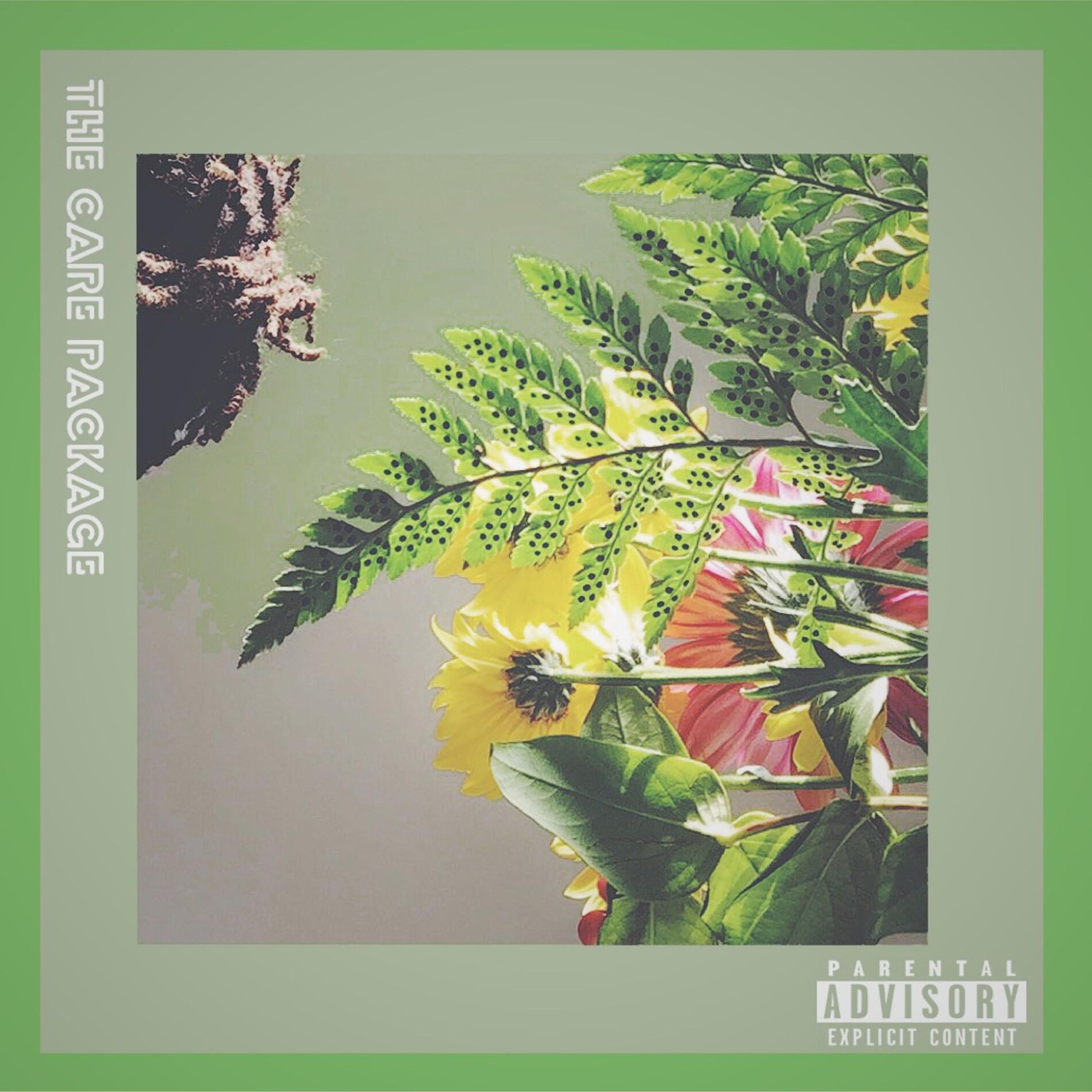 Album cover of The Care Package