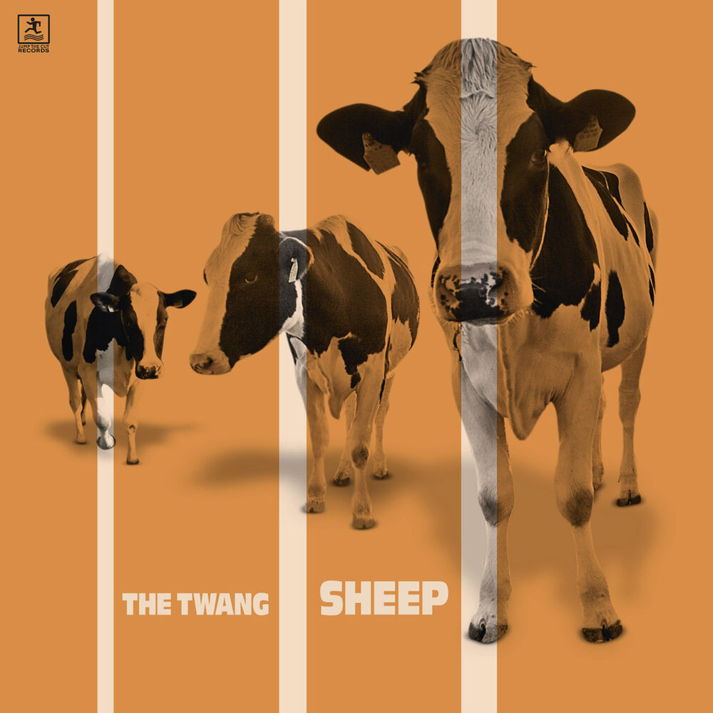 Picture of Sheep