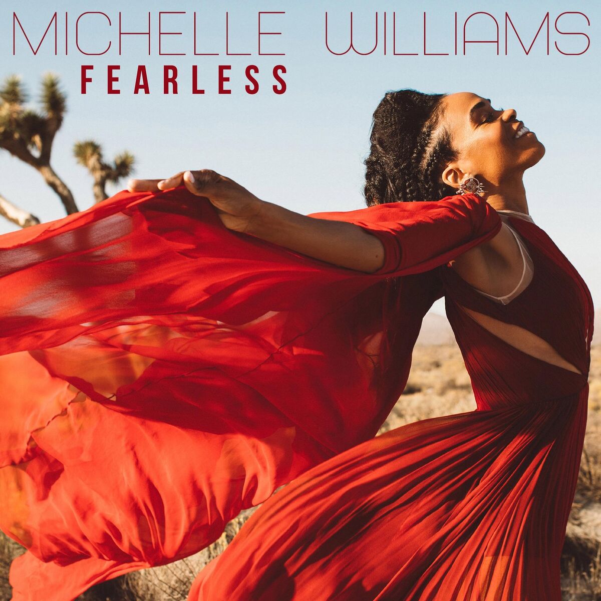 Album cover of Fearless