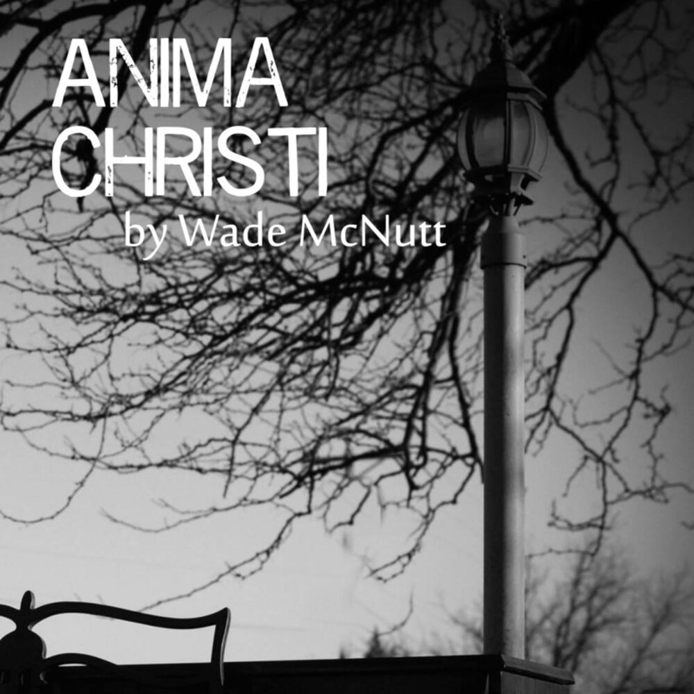 Picture of Anima Christi
