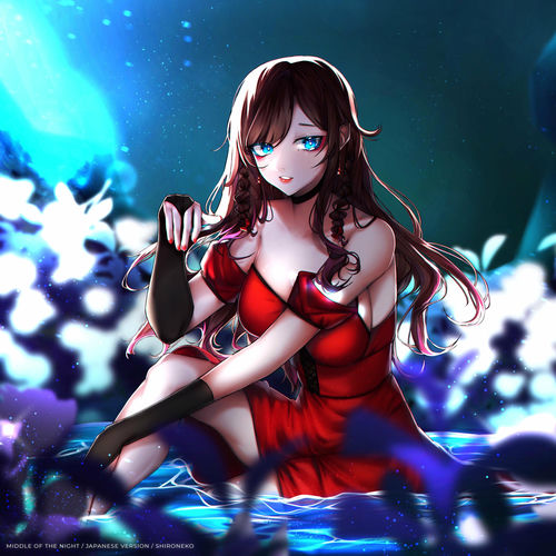 Middle of the Night - Japanese Version by ShiroNeko - 103 BPM