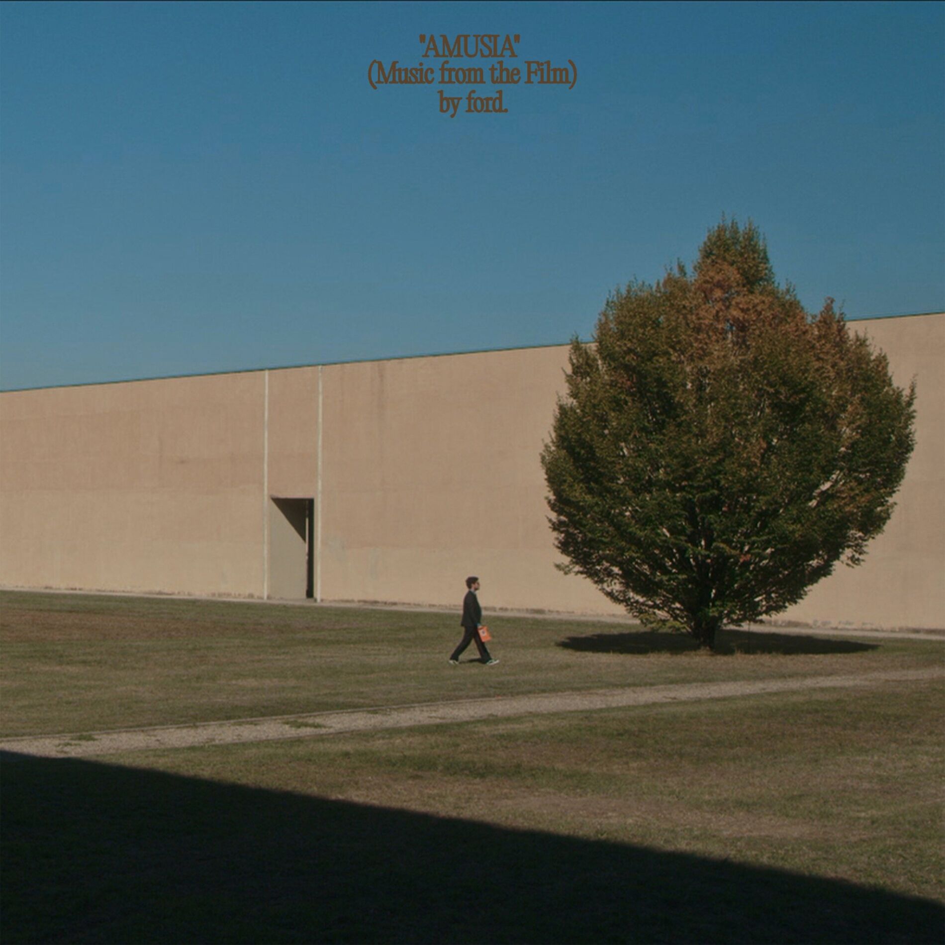Album cover of AMUSIA (Music From The Film)