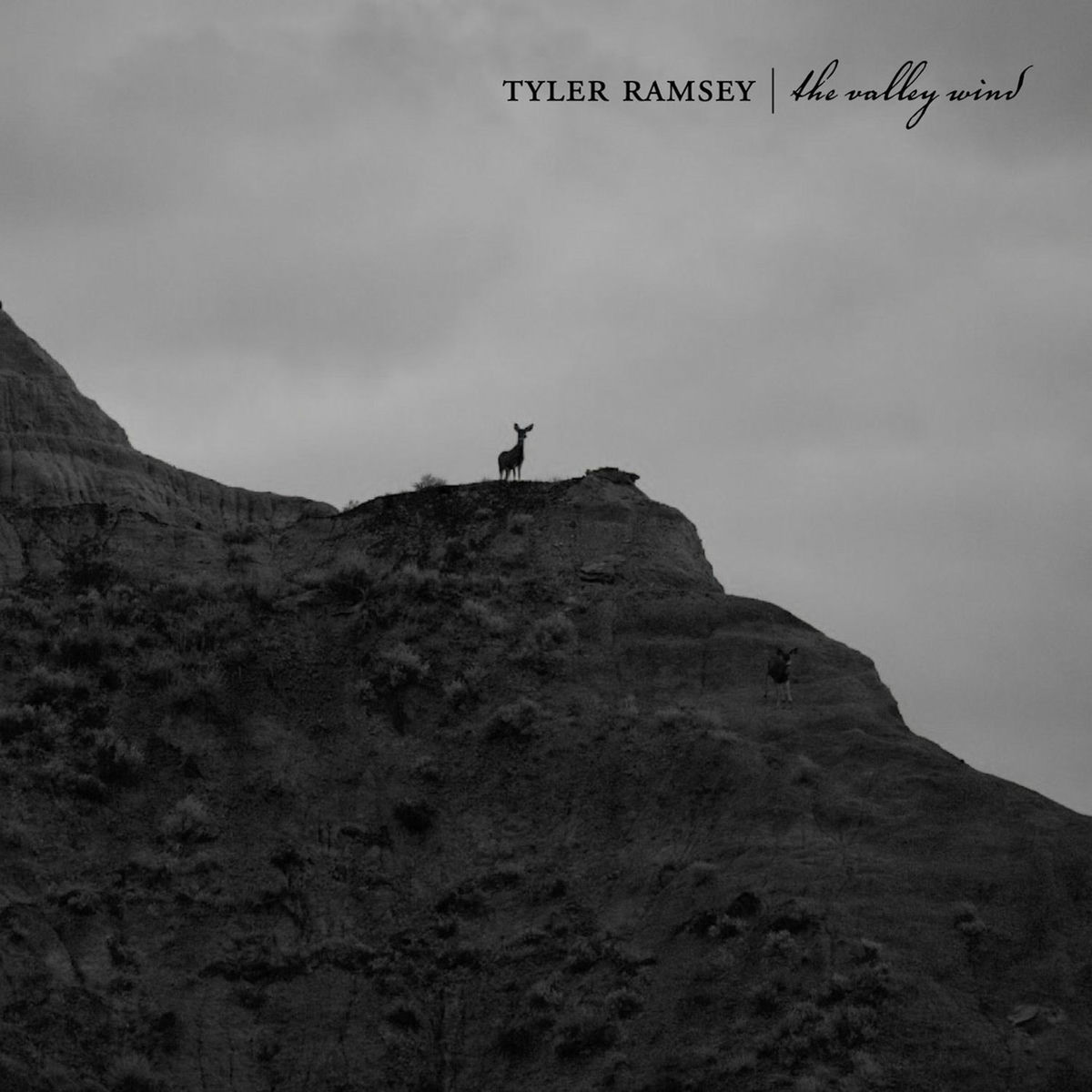 Album cover of 1000 Black Birds